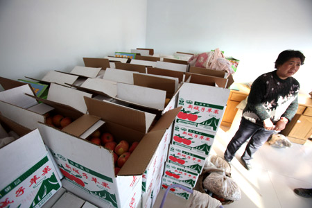 Apple farmers struggle to sell bumper harvest