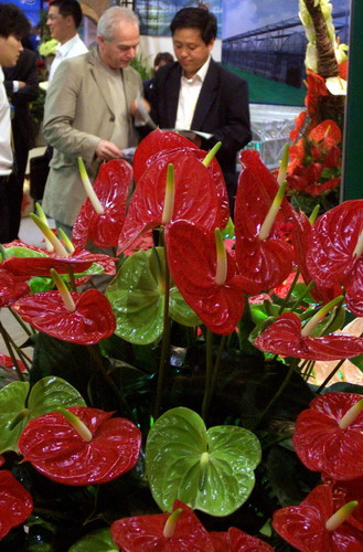 WTO talks at the crossroads