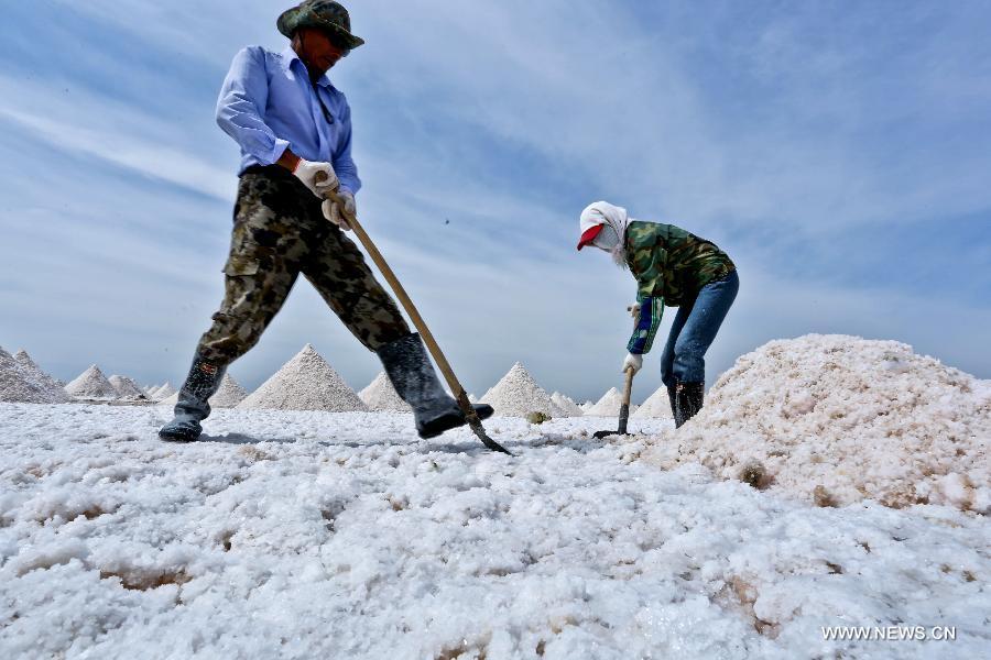 Workers harvest dried salt in Gansu