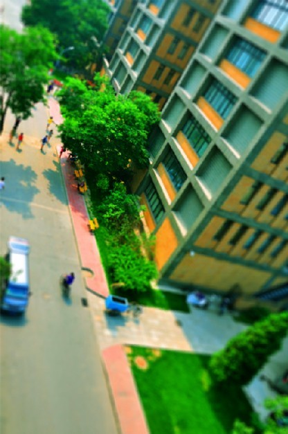 Prize-winning entries in 2nd BFSU photography contest