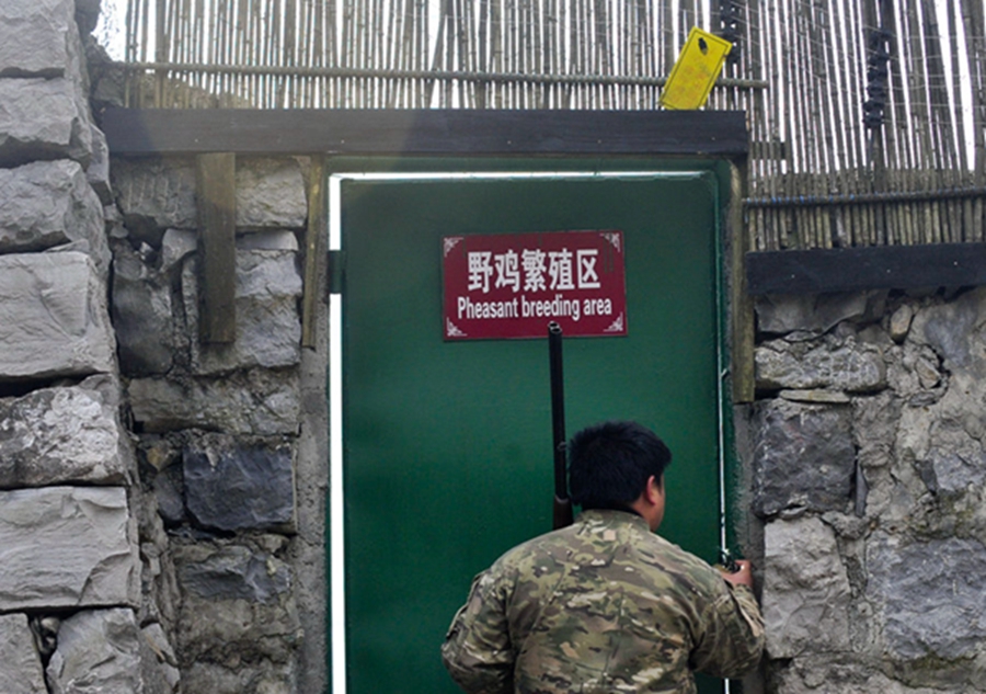 Hunting a fun sports in China