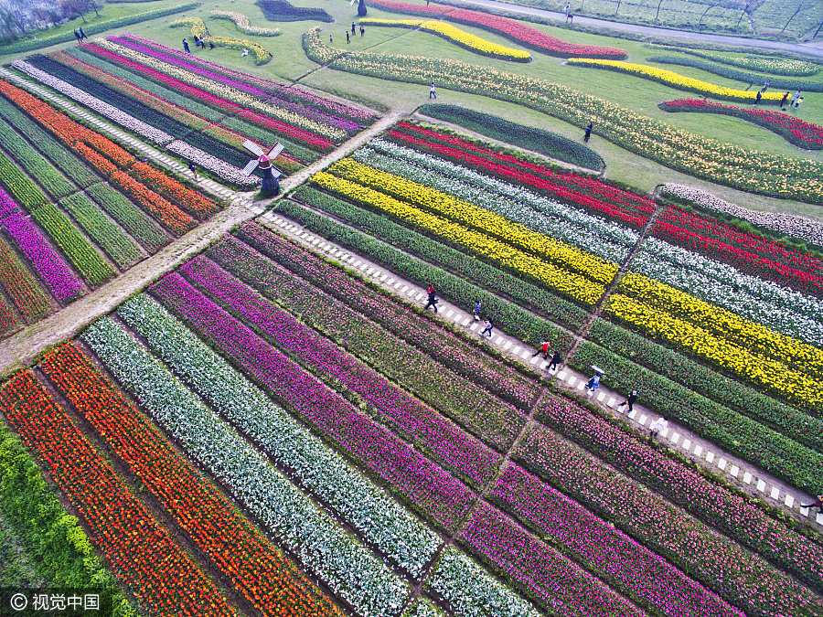 China shows of its beauty in spring