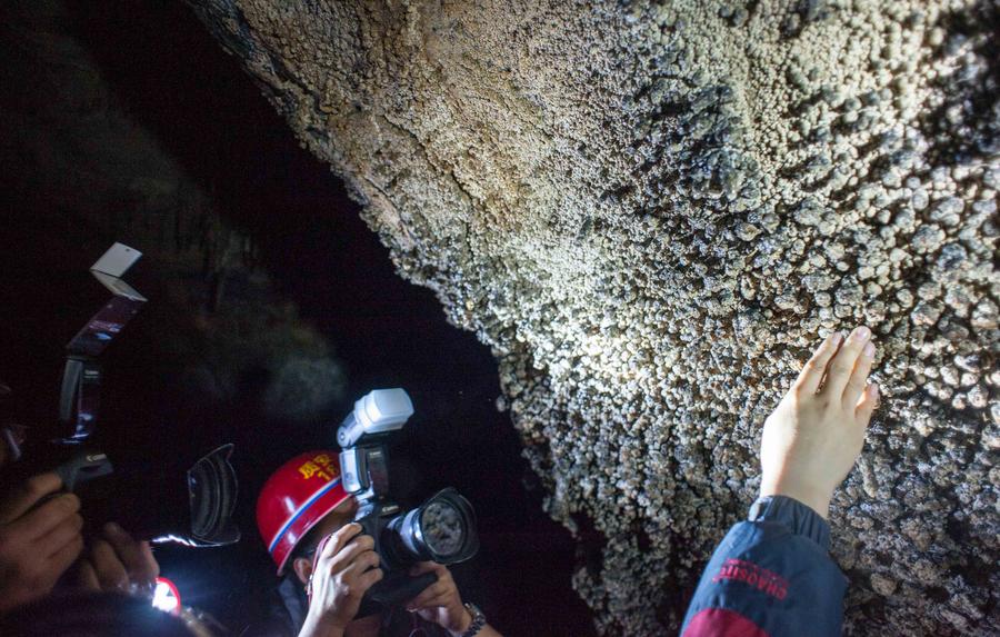 S China's karst climbs to World Heritage List