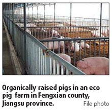 Eco pig farms wave of future