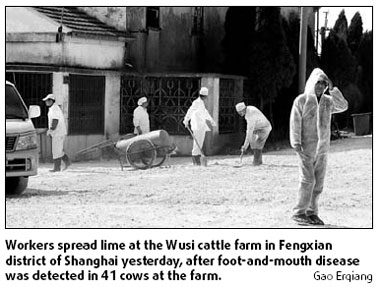 Cows culled after FMD found