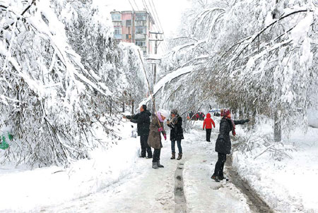 Heilongjiang counts the cost