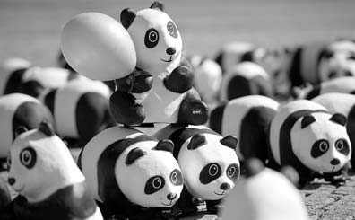 Pandas in eye of Belgian political storm