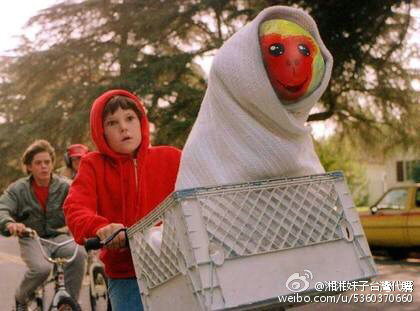 The 'ugliest monkey' raises waves of criticism and laughter