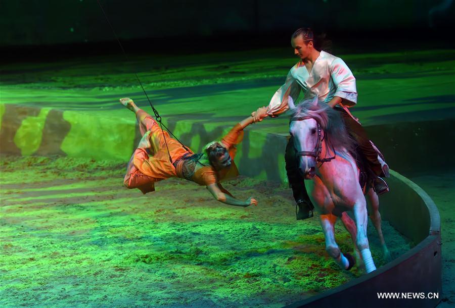 Cavalia show held in Beijing
