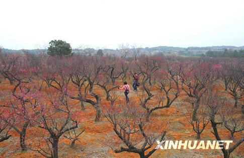 全國(guó)各地鬧新春 迎元宵