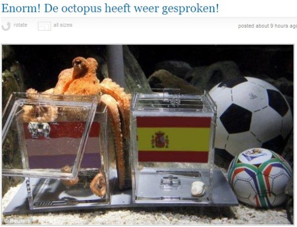 決賽前荷媒大打心理戰 造假新聞逼章魚哥選荷蘭