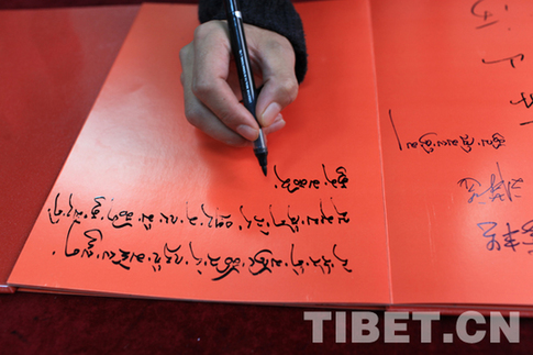 數千觀眾周末盡享“和美西藏”美術展藝術盛宴