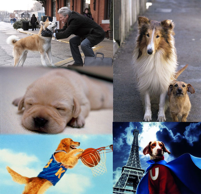 盤點30只最讓人難忘狗狗角色:萌度絕不輸俊介