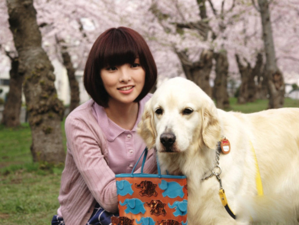 盤點30只最讓人難忘狗狗角色：萌度絕不輸俊介