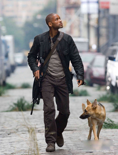 盤點30只最讓人難忘狗狗角色:萌度絕不輸俊介