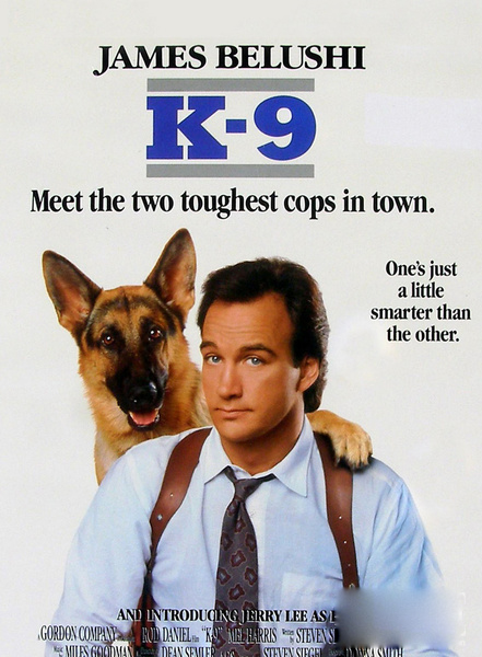 盤點30只最讓人難忘狗狗角色:萌度絕不輸俊介