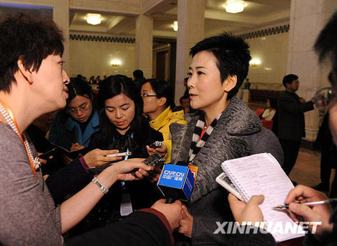 政協十一屆三次會議即將開幕