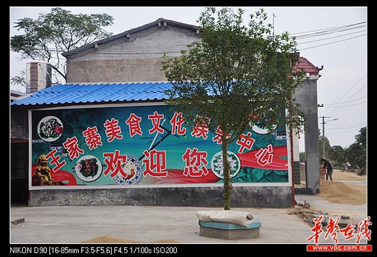 探訪湘江最美村莊：湘陰縣新泉鎮王家寨村/圖