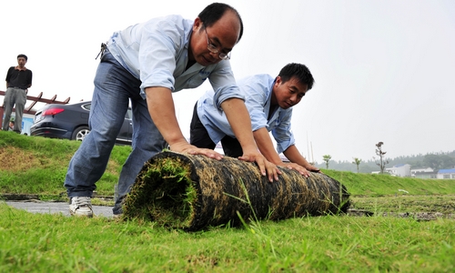 探訪湘江邊最美村鎮首站：“蓮花”美夢
