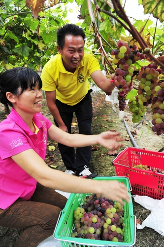 “完美鄉村”松西子-走進株洲縣松西子社區