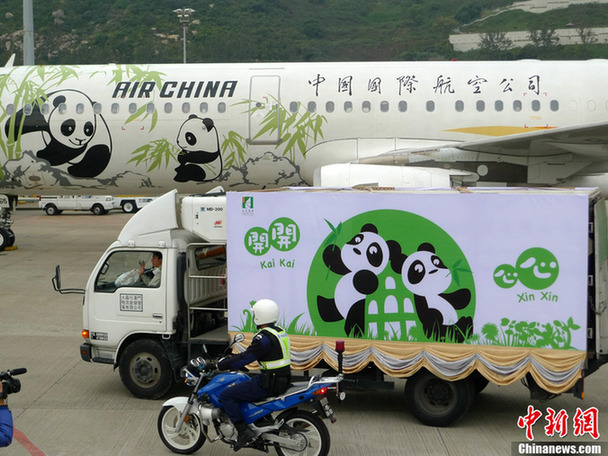 贈澳大熊貓“開開”“心心”交接儀式在澳門舉行