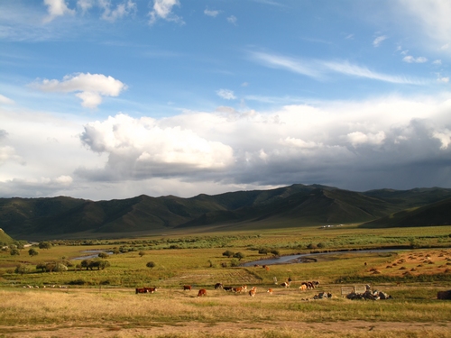 阿爾山草原風光