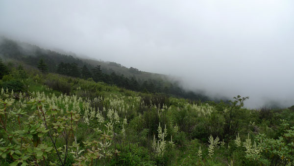 走進避暑勝地神農架(組圖)