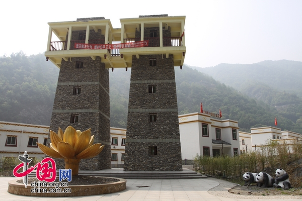 臥龍重建熊貓護養兩不誤 農民“退耕還竹”得實惠