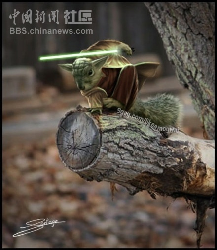 元芳很忙!細(xì)數(shù)那些一個(gè)不小心就火起來(lái)的“忙人”