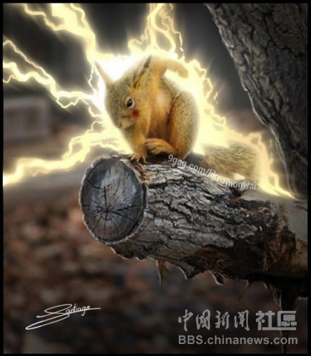 元芳很忙!細(xì)數(shù)那些一個(gè)不小心就火起來的“忙人”