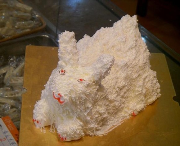 吃蛋糕毀三觀 真特么坑死爹啊！