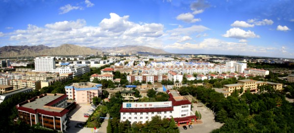 大武口區(qū)情簡介