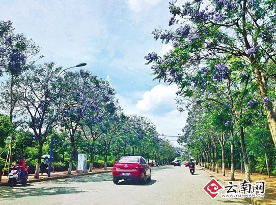昆明迎南博整治市容市貌：讓春城這扇窗口更靚麗