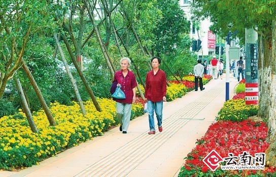 昆明迎南博整治市容市貌：讓春城這扇窗口更靚麗