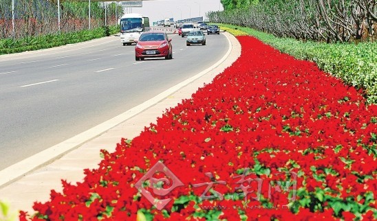 市民文明監督團與記者“驗收”昆明整治道路