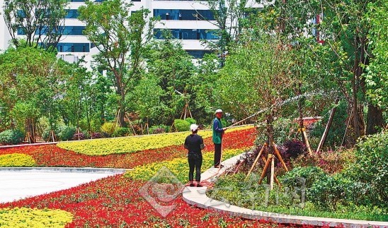 市民文明監督團與記者“驗收”昆明整治道路