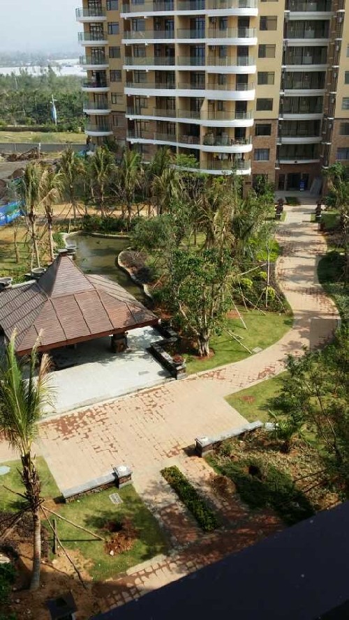 網媒記者贊樂東尖峰嶺：可與南美洲熱帶雨林媲美<BR>