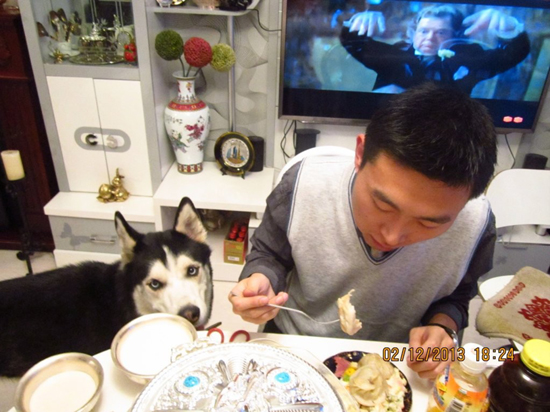 美國、歐洲、菲律賓 天下華人共有一個“春節夢”