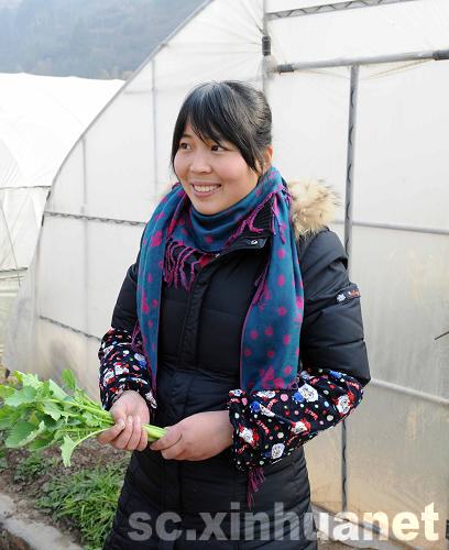 蔬菜大棚幫助青川災區農民走上致富道路