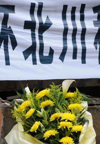 “5.12”兩周年：我聽見草葉溫柔耳語