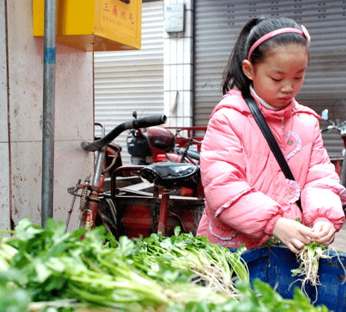 湊起壓歲錢做本 小學生當菜販體驗生活