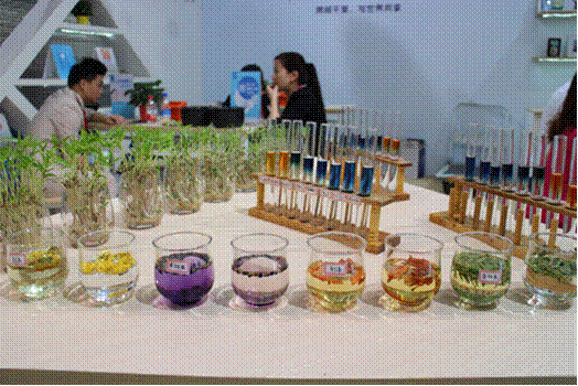 水博會完美落幕，卓瑪泉引領健康水革命