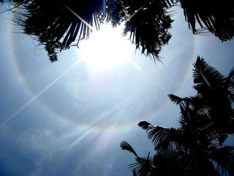 福州市上空突現日暈奇觀 專家稱實屬少見