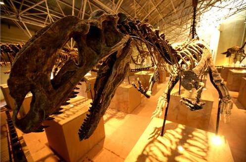 “七彩云南·魅力楚雄北京行”系列活動(dòng)將在京啟動(dòng)