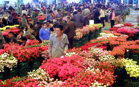中國花博會9月開幕 云南舉“特色”牌