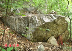 遼寧清原金山天然石佛：神奇的啟運(yùn)之地