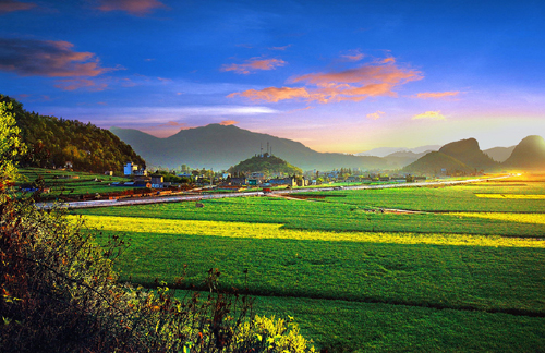 油菜花海：世界最大的自然天成花園