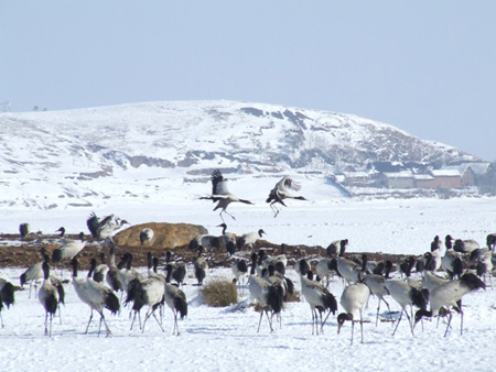 云南大山包的高原凈土