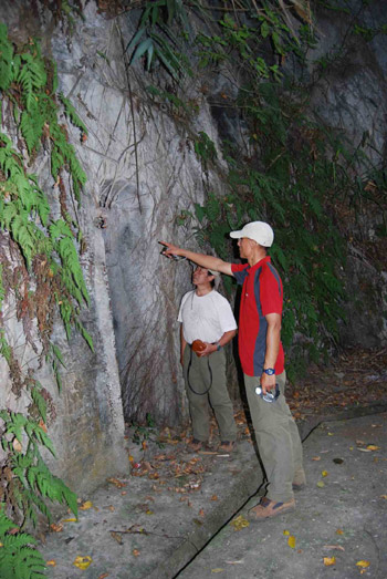 金飛豹日記：血淚人字橋