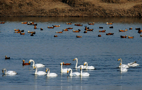 影視劇組為何屢變“環境殺手”